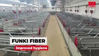 Farrowing system made in Fiber material.