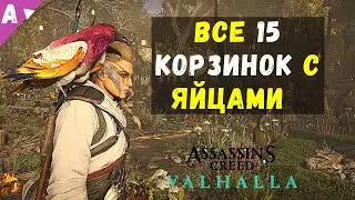 Охота за яйцами || Все корзинки с яйцами || Фестиваль Остара Assassins Creed Valhalla