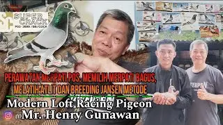 TIPS,!! SUKSES DAN JUARA DI MERPATI POS Mr. HENRY GUNAWAN MODERN LOFT