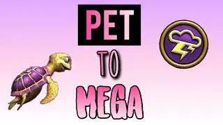 ♡ Wizard101: Pet to Mega ♡