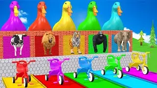 Long Slide Game With Cow Elephant Tiger Lion Gorilla - 3d Animal Game - Funny 3d Animals