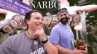 What REALLY happened at the Arlington Reptile Show