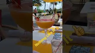 Miami Drinks Are 🔥