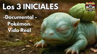 POK&Eacute;MON REALISTA - La Historia de los 3 INICIALES (Bulbasaur, Charmander y Squirtle) | MUNDO POKEMON