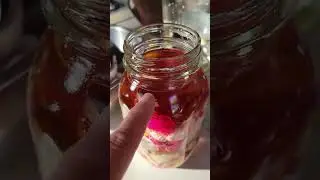Making Rose Elixir from the last of this seasons blooms.