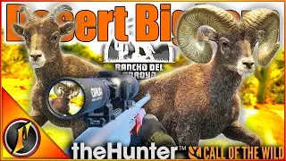 Hunting Trophy (And Tiny) Desert Bighorn on Rancho! | theHunter Call of the Wild