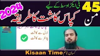 Kapas ki kasht ka tarika fertilizer plan for cotton in urdu کپاس کی کاشت کا بہترین طریقہ Kisan time