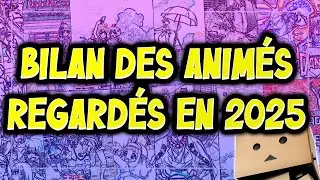 Le bilan des animés regardés (et mangas lus) en 2025