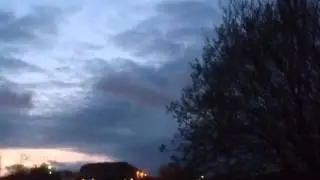 Pipistrelle Bats Portrack Marsh.mp4