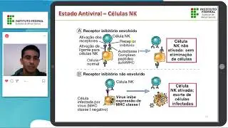 Imunidade Inata - Estado antiviral