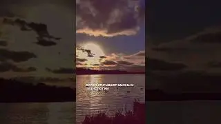 Учёные создают иллюзию прогресса, а заворожённые этим люди, забывают о цели жизни
