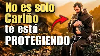 San Francisco revela. Por qué tu gato insiste en que lo cargues (4 Señales de Protección)