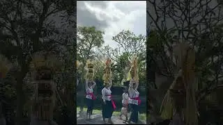 Kerja remote dari Bali #bali #remote #digitalnomad #remotework #baliindonesia #short