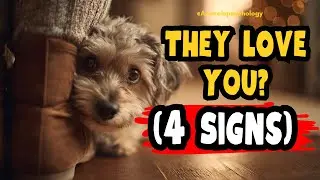 4 Signs Your Dog Loves You More Than Anyone Else