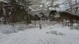 Geijsteren   Boschhuizerbergen