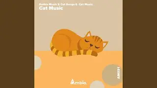 Calming Music for Cats