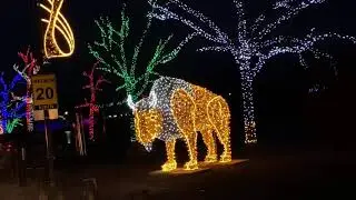Niagara Falls Festival of Lights and Falls Illumination 2020