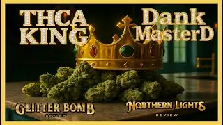 THCA KING Review 🌿🔥 | Indoor Exotic THCA Glitter Bomb 💎 & Northern Lights 🌌