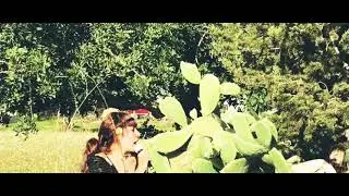 Ibiza natural music