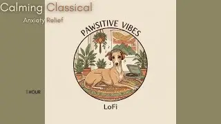 Calming Classical Music for Dogs (1 hour)