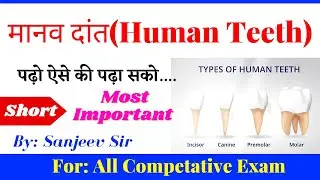 मानव दांत ||Human Teeth || Biology|| Botany #humanteeth