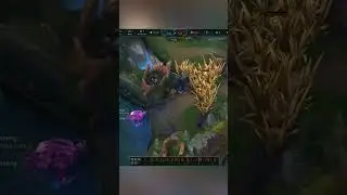 Zed One Trick in URF