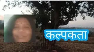 कल्पकता खेड्यात पण 