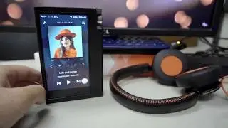 Philips Fidelio M1mk2 &mdash; альтернатива Koss