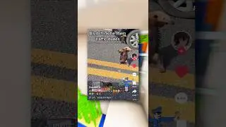 Funny Animal Tiktok Screenshots!