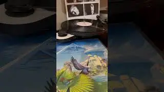 Disco 103: Asia - Alpha