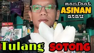 Manfaat Kalsium (asinan/tulang sotong)buat Burung.
