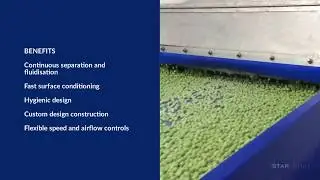 IQF peas on tunnel freezer