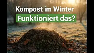 Kompost im Winter &ndash; Macht das &uuml;berhaupt Sinn?