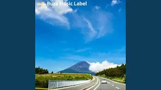 Daily Drive