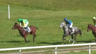 Course 12 - Prix All'In - Inter Volailles, remporté par Arnould de Tarragon