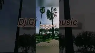 Dj Gypsy music Style - кавер. Сухуми 