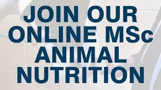 University of Glasgow, MSc Animal Nutrition [Online Distance Learning]