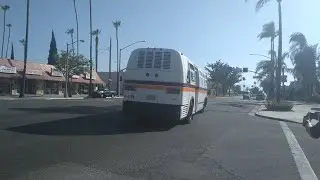 Regional Transit Service 1982 GMC RTS-04 #4419