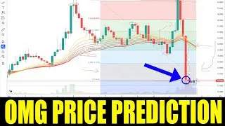 OMG  Crypto - Price Prediction for Network OMG Coin - Token Crashes November 2021
