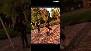What happens at the end is crazy😦😦 #funny #shorts #swing 