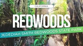 JEDEDIAH SMITH REDWOODS STATE PARK