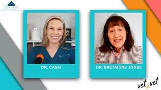 Does Any Agency Actually Approve or Certify Pet Food? | A Vet2Vet Conversation