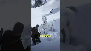 &iquest;D&Oacute;NDE ENCONTRAR EL MEJOR CABALLO DE RED DEAD REDEMPTION 2? #rdr2