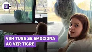 Viih Tube se assusta ao ver tigre de perto no quarto em viagem pela África; veja vídeo