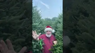 Greg's Trees