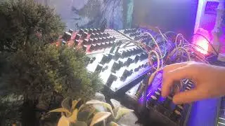 11220263 Experimental Synth Jam using Boss ME-80 Multiple Effects with Wasp Deluxe Pro-1 into Wasp