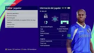 William Eric Gallas - PES Clasico (Face, Body& Stats)