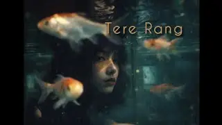 Tere Rang &ndash; Emotional Melody x Sad Lofi Beat | Prod. NovaAtlas Studio