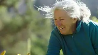 Stories of Our Journey featuring Diane Dovholuk