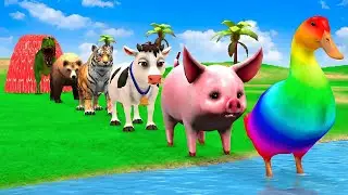 Long Slide Game With Cow Elephant Gorilla Hippopotamus Tiger 3d Animal Game Funny 3d Animals